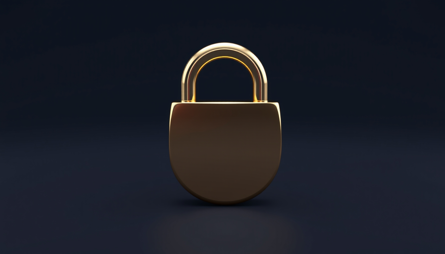 Veiligheid, privacy en oplichting